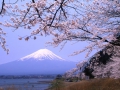 World Heritage Mt.Fuji
